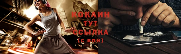 мяу мяу мука Аркадак