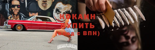 мяу мяу мука Аркадак