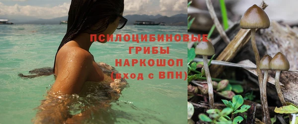 мяу мяу мука Аркадак